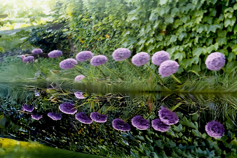 7a7d06f7176cc9d5d9f7e0d76857ffc8_1749298360_1317.jpg